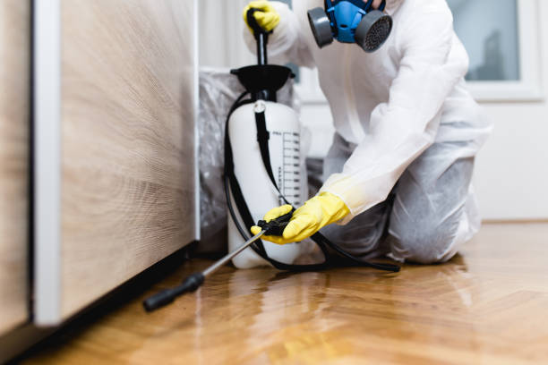 Best Local Pest Control Services  in Oviedo, FL