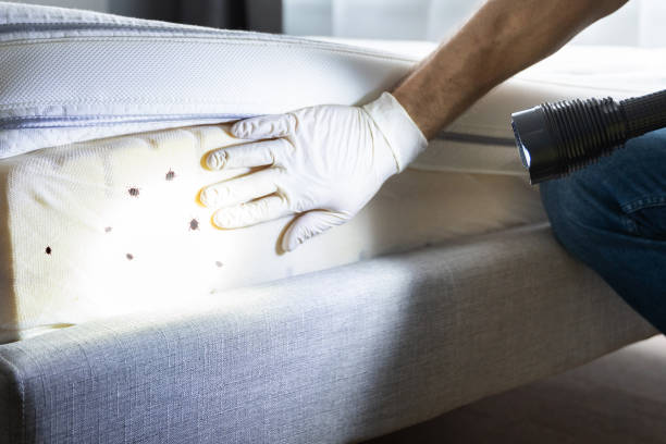 Best Pest Control Treatment  in Oviedo, FL